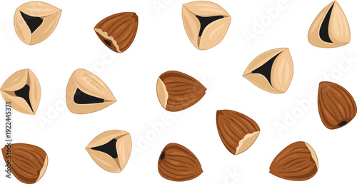 Hazelnut vector set. Whole and cracked filbert nuts top view collection. Cartoon organic food illustration for grocery, packaging and healthy snack design.