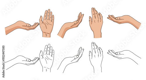 Collection of realistic and line art illustrations of human hands in various open palm gestures, presented in two rows.