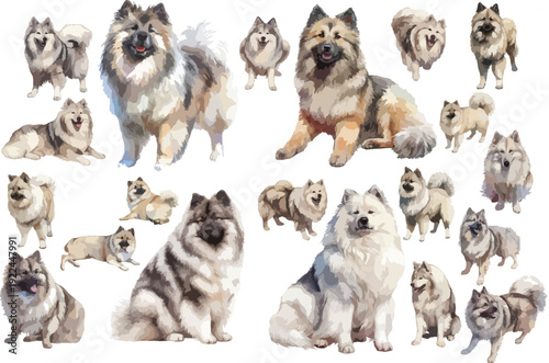 Watercolor Swedish Vallhund Dog Clipart Set