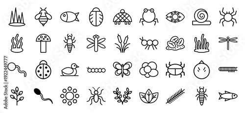 Nature and biology monoline linear elements for educational infographics. Minimalist stroke icons featuring aquatic life, insects, and botanical specimens.
