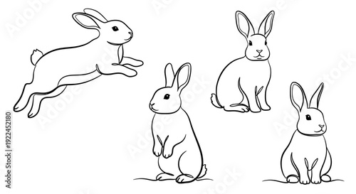 A collection of five detailed line drawings of rabbits in various poses, showcasing their anatomy and movement.