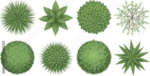 Top view garden plants and trees vector set, architectural landscape design elements, green bushes, shrubs, and foliage isolated on white,