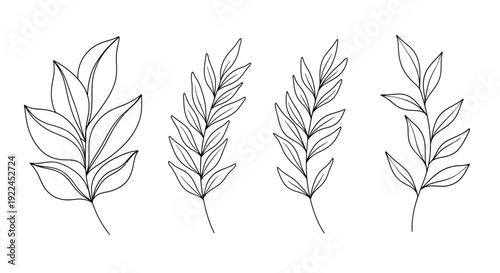 A set of four delicate line art illustrations of botanical sprigs with varying leaf arrangements.