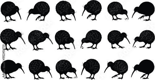Set of black kiwi bird vector silhouettes featuring various flightless bird poses including foraging, walking, and standing for wildlife designs.