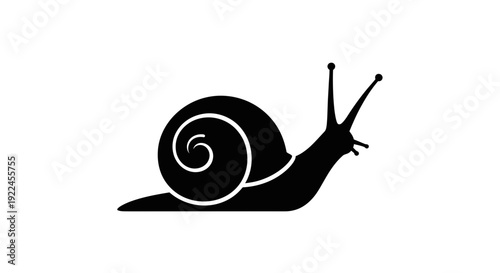 Snail Silhouette Moving Slowly with Shell.
