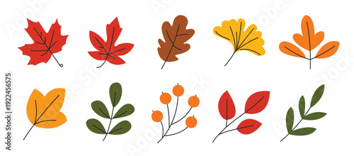 Set of minimalist autumn leaves and forest foliage vector illustration.