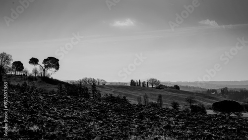 Cuadro en lienzo Panorami in bianco e nero della Toscana