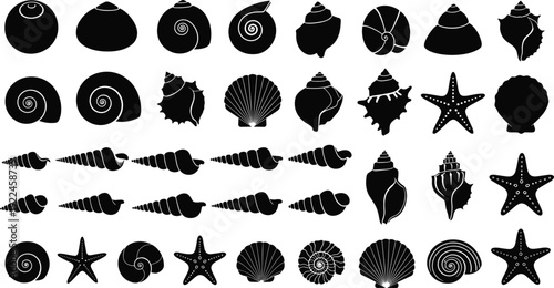 Set of sea shell vector silhouettes including starfish, spiral conch shells, scallops, marine snails, and ocean beach life black icons.