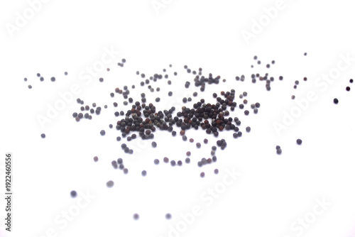 Quadro em tela Pak coy seeds on white background. Seeds on white background