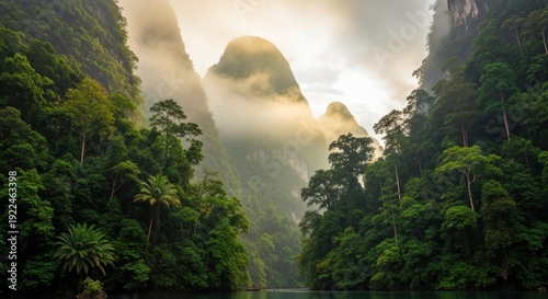 Lush Tropical Landscape - A Serene View of Khao Sok National Park.