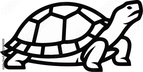 Simple black outline drawing of a tortoise with a detailed shell