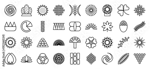 Abstract botanical and geometric monoline symbols for organic branding. Minimalist linear collection featuring floral motifs, seed pods, and natural symmetry.