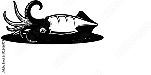 Stylized black and white illustration of a squid with visible tentacles and eye