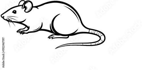Stylized black ink drawing of a rat on a white background