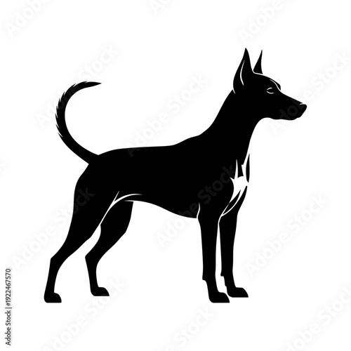 Elegant black silhouette of a slender dog standing profile view on a white background
