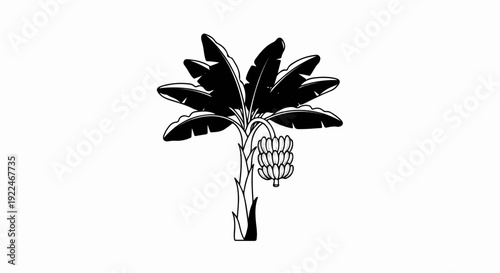 Stylized black and white illustration of a banana tree with a bunch of bananas