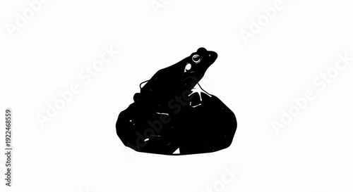 Stylized black silhouette of a frog on a dark, textured surface