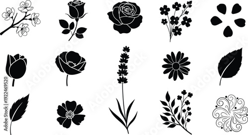 Crown of thorns, isolated on white background