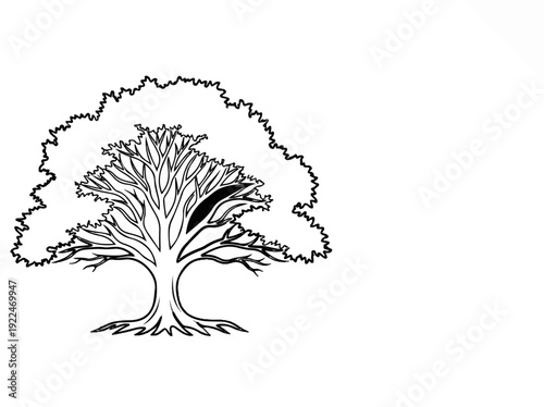 Stylized black and white illustration of a mature tree with dense branches and visible roots