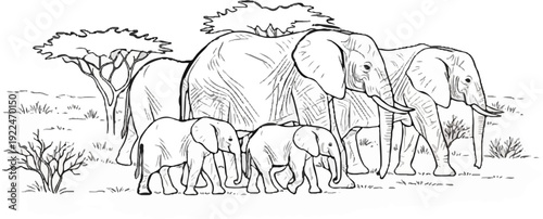Sketch of a family of elephants walking through a savanna landscape
