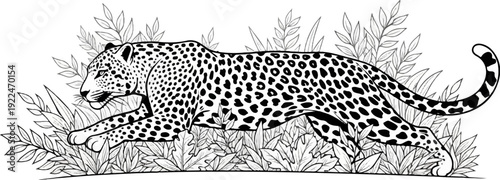 Spotted big cat stalking through lush foliage, rendered in stark black and white