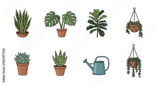 Collection of house plants illustrations isolated on white background