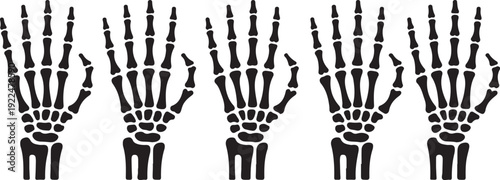 Skeleton hand gestures set. Collection of hand-drawn bones signs. Vector illustration.
