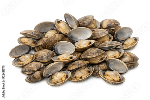 Clams on transparent background. Fresh seafood offering healthy protein and omega-3, ready for culinary uses