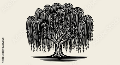 A serene weeping willow tree stands alone in a peaceful landscape, viewed from a slight distance