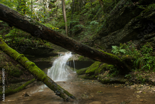 Canvas Print Logs and waterfall in a gorge, Germany