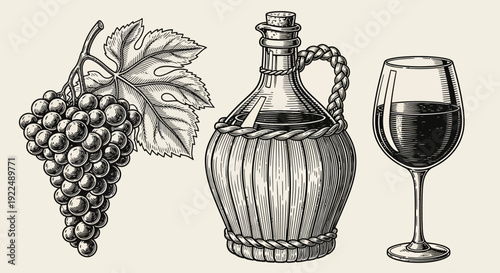 A black and white illustration of grapes, a jug, and a glass of wine on a plain background from a straightforward viewpoint.