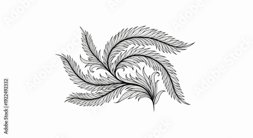 Ornate black and white illustration of a flowing feathered botanical flourish