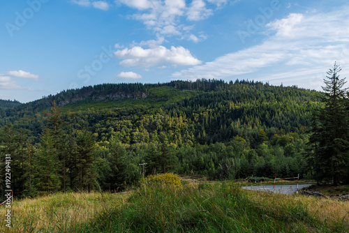  Gwydir Forest from the Ruins of Hafna Lead mine Betws Y Coed
