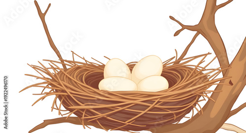 nest, eggs, icon, isolated, bird, nature, wildlife, spring, hatchling, family, home, shelter, incubation, breeding, parenting, care, protection, natural, rural, forest, branch, straw, twigs, illustrat