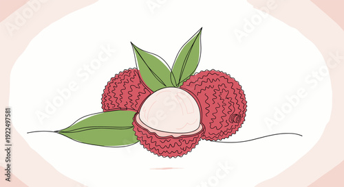 Soft sketchy illustration of several lychee fruits with pink bumpy skin and long green leaves shown with one fruit peeled to reveal white flesh.