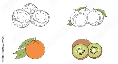 Set of colorful fruit illustrations including sliced coconut, sweet peaches, a whole orange, and sliced kiwi fruit.