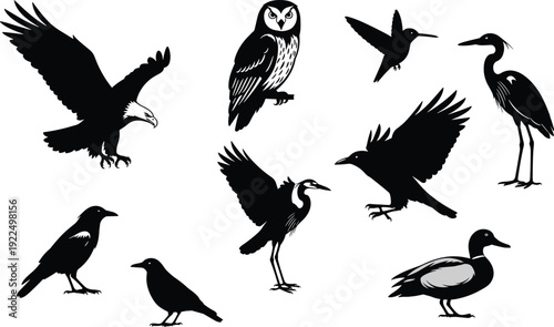 Black silhouette collection of diverse birds featuring eagle owl hummingbird heron and duck icons, isolated avian vector illustrations for nature and wildlife graphic design projects.