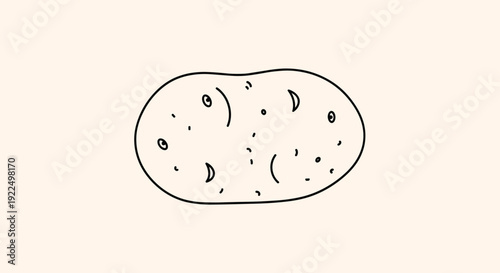 Simple black and white line drawing of a potato showing its irregular shape and small eye spots or brown buds.