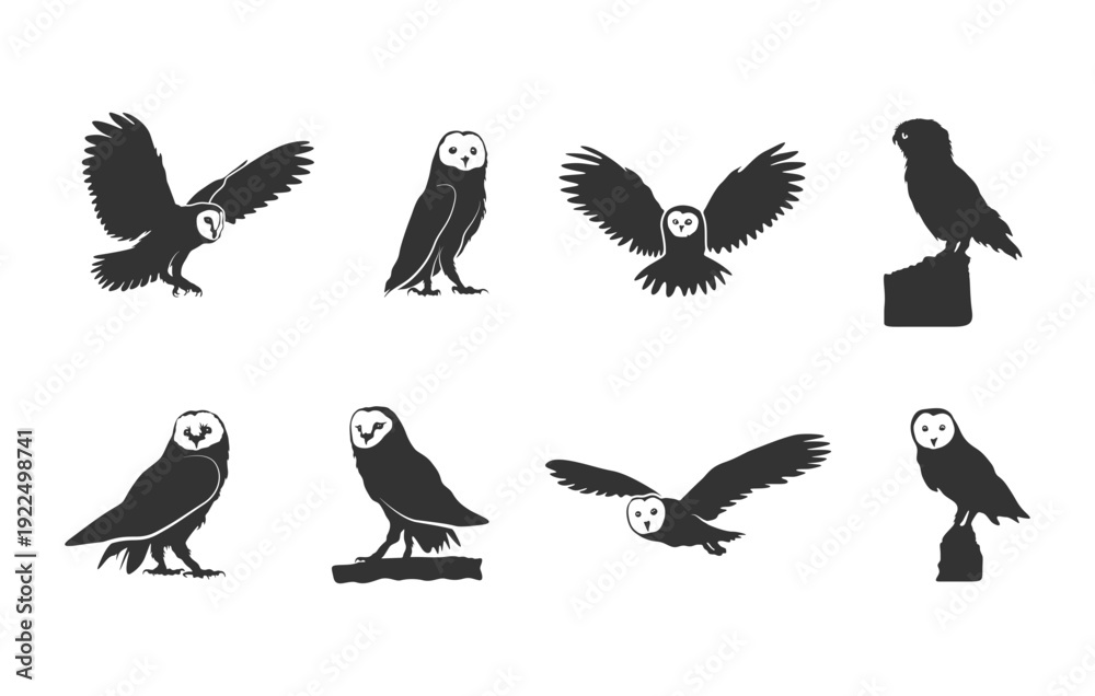 Fototapeta premium Barn owl silhouette set, Barn owl svg, Barn owl vector, Owl svg, Barn owl clipart, Owl clipart. 