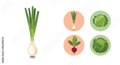 Fresh spring onion illustration shown with stylized icons of radish, cabbage, and beetroot for healthy vegetable garden concepts.
