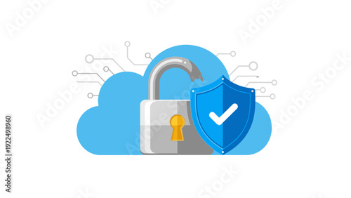 Illustration of a padlock, shield with a checkmark, and circuit lines on a blue cloud background, symbolizing online security and data protection.