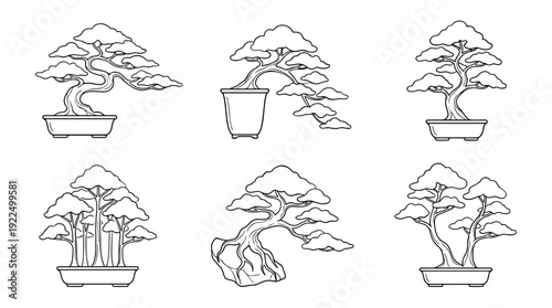 bonsai tree, 6 black delicate line drawings vector set collection , white background , PNG and SVG