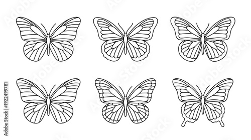 butterfly, 6 black delicate line drawings vector set collection , white background , PNG and SVG