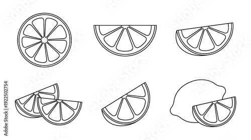 lemon slice, 6 black delicate line drawings vector set collection , white background , PNG and SVG