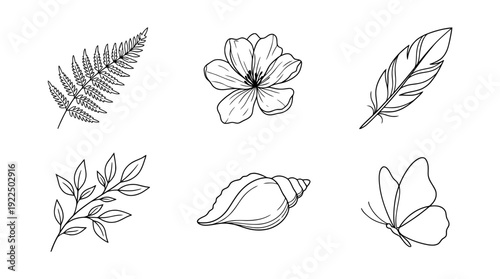 llama, 6 black delicate line drawings vector set collection , white background , PNG and SVG