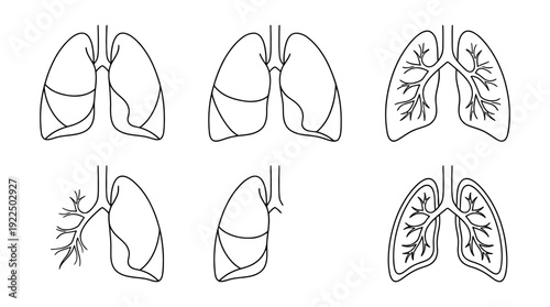 lungs, 6 black delicate line drawings vector set collection , white background , PNG and SVG