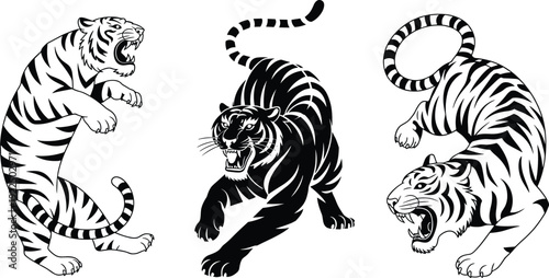 Black and white roaring tiger illustration set, aggressive wild animal vector collection isolated on light background for tattoo, mascot and design use