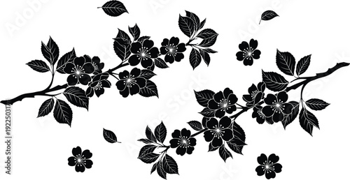 Black silhouette cherry blossom branch with blooming flowers, leaves and buds, elegant sakura tree twig design vector illustration