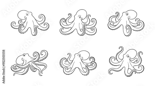 octopus, 6 black delicate line drawings vector set collection , white background , PNG and SVG
