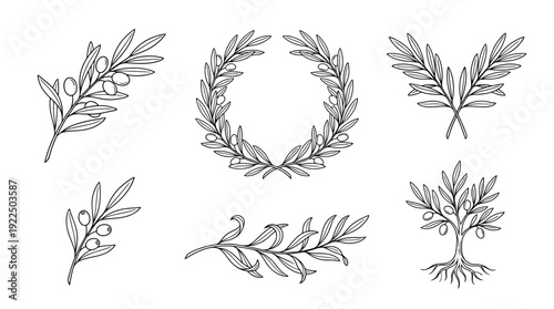 olive branch, 6 black delicate line drawings vector set collection , white background , PNG and SVG